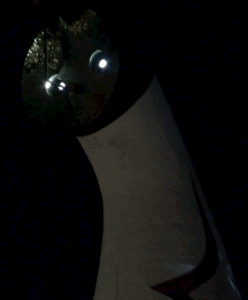 「イルミナイト万博 夕涼み」に行って来ました。動画あり