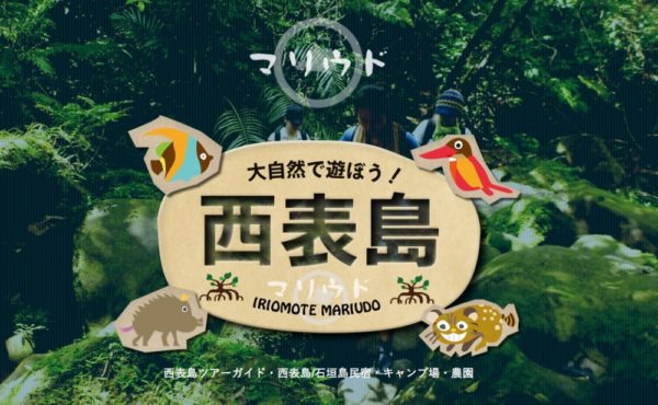 西表島マリウドに宿泊&カヌー&トレッキングしてきました！