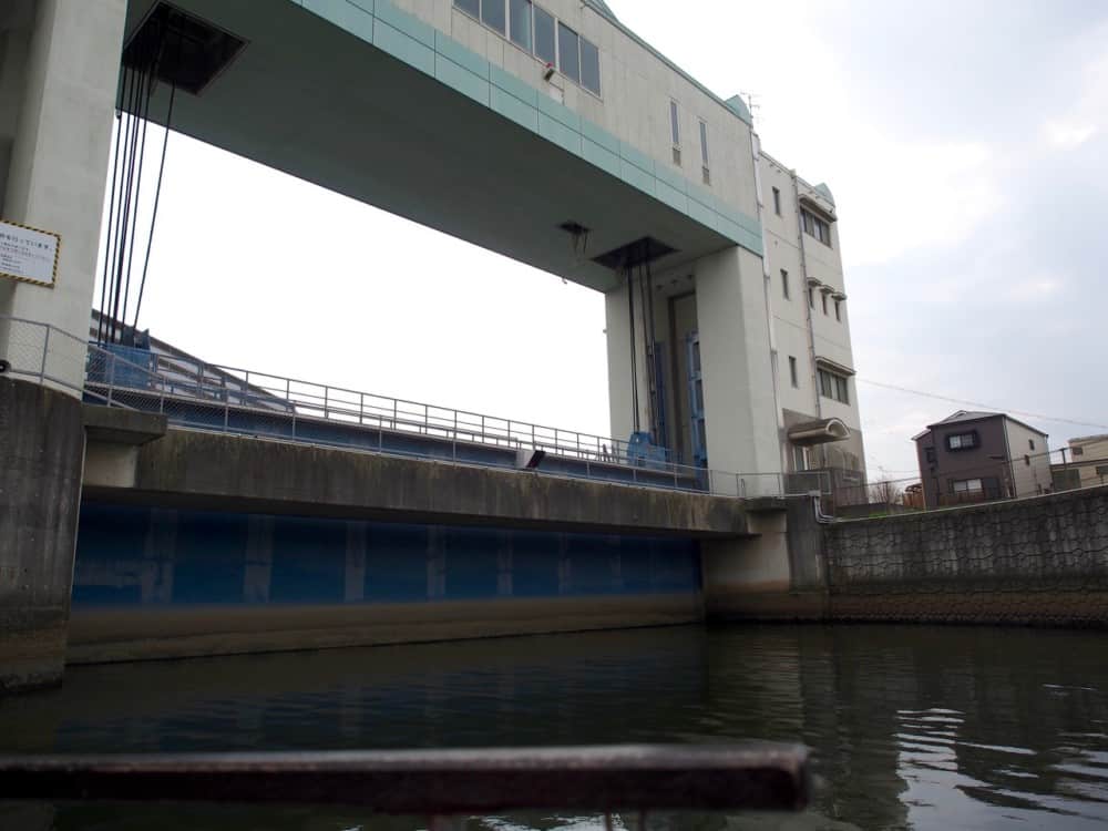 御舟かもめ 城北川さくらクルーズ2018